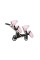 Cochecito gemelar 2 en 1 Kunert Brav Duo BD-15 Baby Pink Eco con chasis negro o color champán