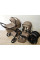 Cochecito 3 en 1 CARRELLO Vector F CRL-6700 Flannel Beige Capazo plegable, silla de paseo y grupo 0