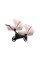 Коляска для двойни 2 в 1 Kunert Ivento Duo ID-11 Smoky Pink с черной рамой или рамой цвета шампань