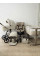 Pack ahorro: Carrito de bebé 2 en 1 Dada Flux Almond+  Silla de coche Carrello Octopus  0-12 años + сuna colecho parque Picto