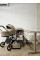 Pack CARRELLO: Carrito de bebé 2 en 1 Ultra F CRL-6557 Polar Beige con capazo plegable + сuna colecho parque  Picto 3 en 1 