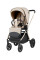 Pack CARRELLO: Carrito de bebé 2 en 1 Ultra F CRL-6557 Polar Beige con capazo plegable + сuna colecho parque  Picto 3 en 1 + Silla de auto Carrello Octopus 0-12 años