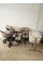 Pack CARRELLO: Carrito de bebé 2 en 1 Ultra F CRL-6557 Polar Beige con capazo plegable + сuna colecho parque  Picto 3 en 1 + Silla de auto Carrello Octopus 0-12 años