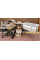 Pack ahorro: Carrito de bebé 2 en 1 Dada Flux Beige +  Silla de coche Carrello Octopus  0-12 años + сuna colecho parque Picto