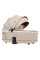 Набор: Детская коляска 2 в 1  Carrello Vector CRL-6550 Seashell Beige + Автокресло Carrello Octopus0-12 años + приставная кроватка-манеж Picto 3 в 1